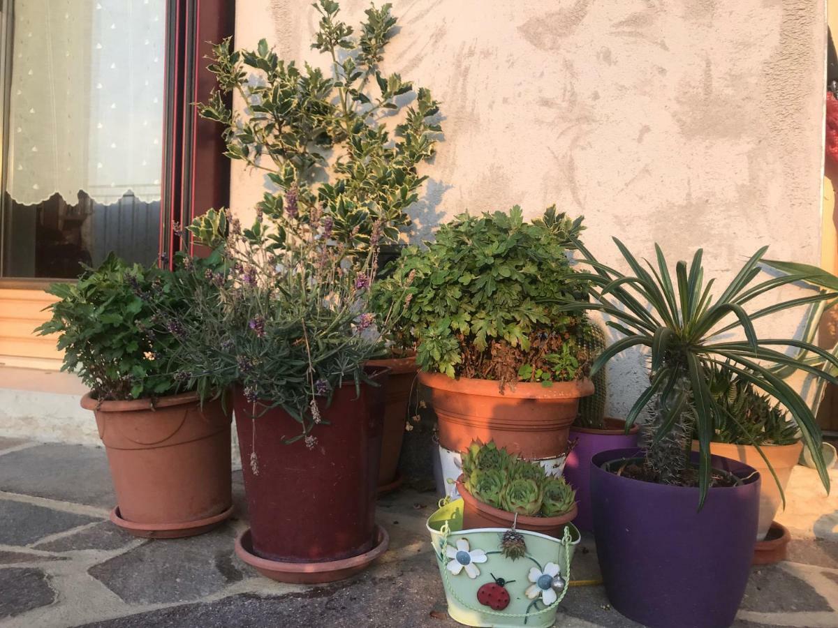 Puffele B&B Enego Exterior photo